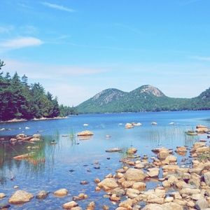 Meet your Posher, Crystal